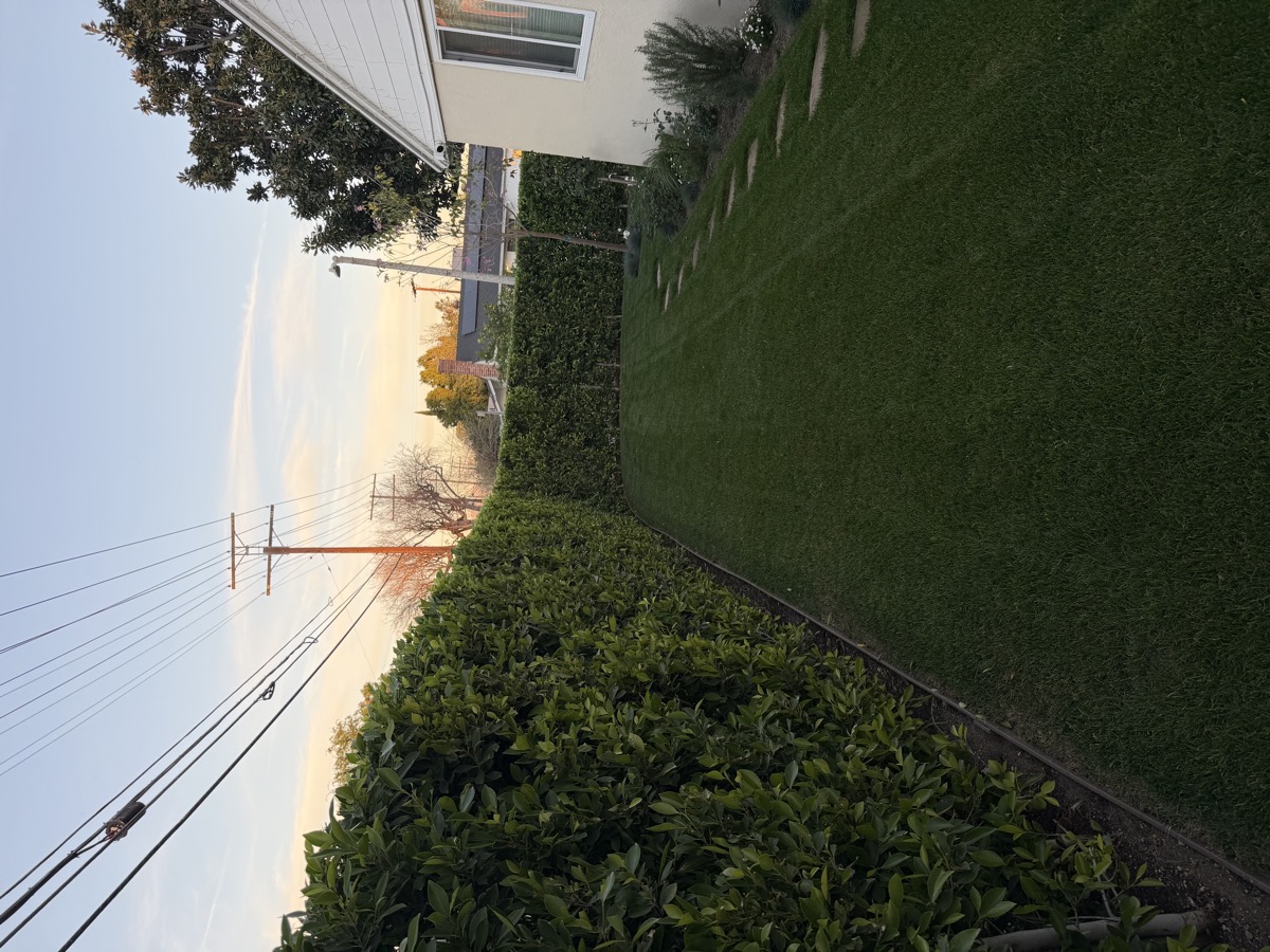 Manicured front yard with trimmed hedges and green lawn